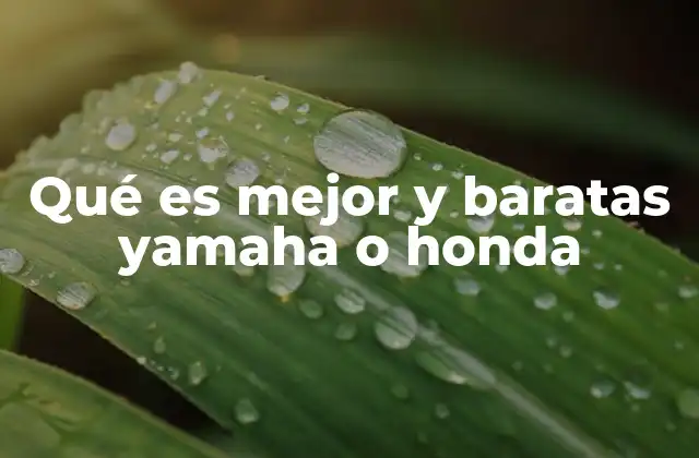 Qué es Mejor y Baratas Yamaha o Honda
