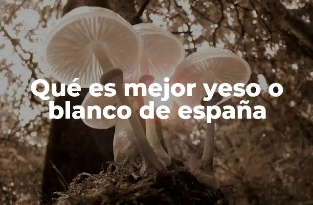 Qué es Mejor Yeso o Blanco de España