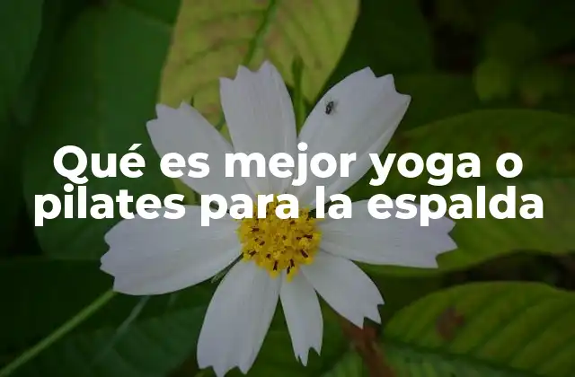 Qué es Mejor Yoga o Pilates para la Espalda