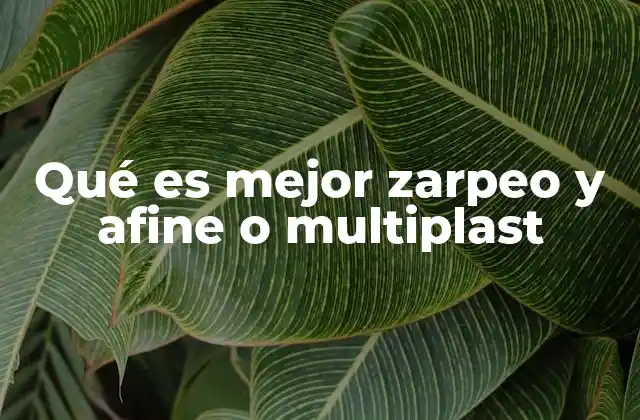 Qué es Mejor Zarpeo y Afine o Multiplast