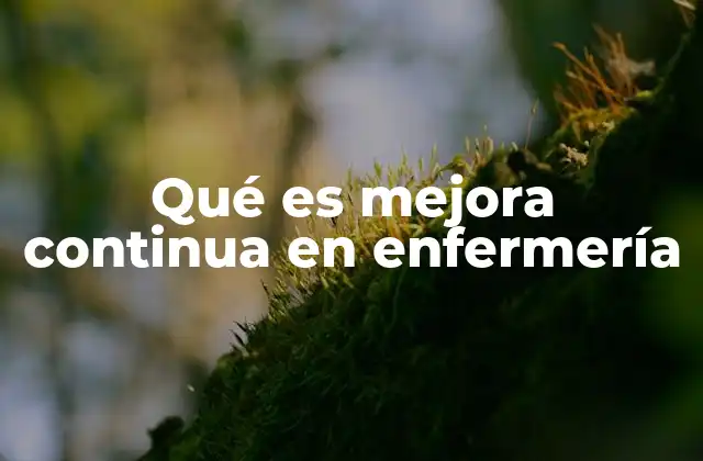 Qué es Mejora Continua en Enfermería