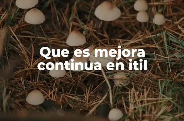 Que es Mejora Continua en Itil