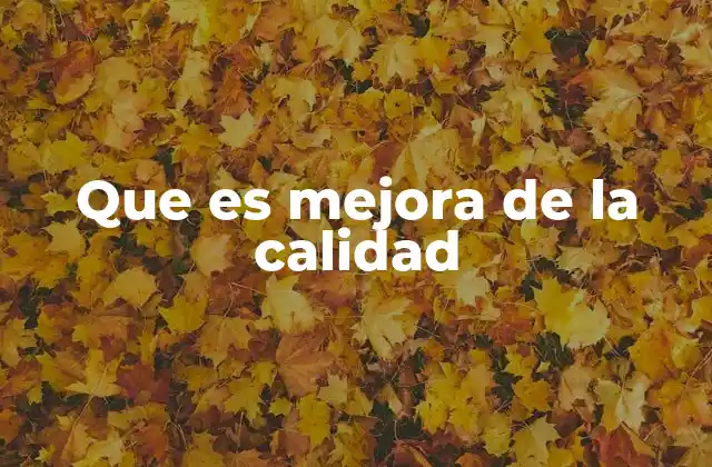 Que es Mejora de la Calidad