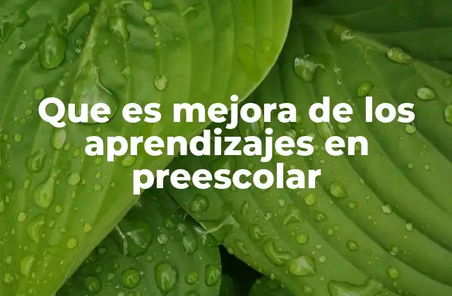 Que es Mejora de los Aprendizajes en Preescolar