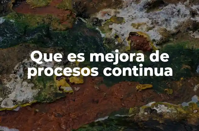 Que es Mejora de Procesos Continua