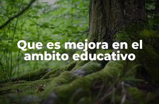 Cómo la mejora educativa transforma el sistema escolar