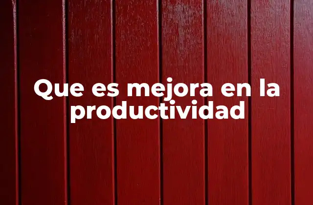 Que es Mejora en la Productividad