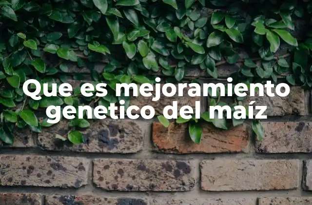 Que es Mejoramiento Genetico Del Maíz 2 Cómo funciona el proceso de mejora genética en el maíz