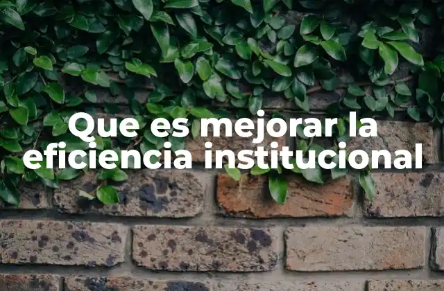 Que es Mejorar la Eficiencia Institucional 2 La importancia de la eficiencia en la gobernanza moderna