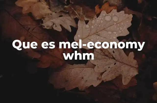 Que es Mel-economy Whm