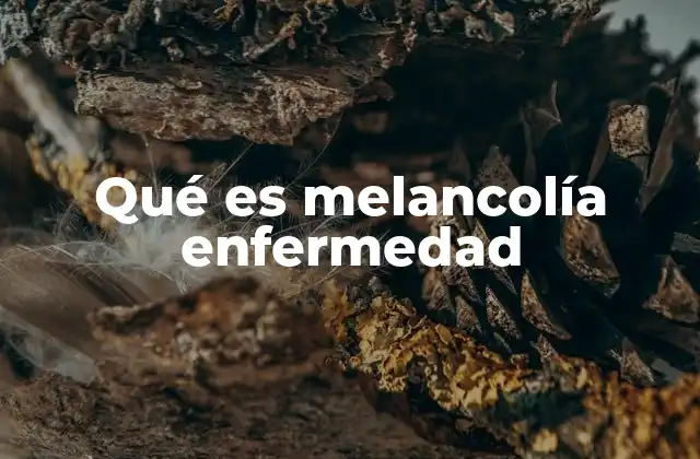 Qué es Melancolía Enfermedad
