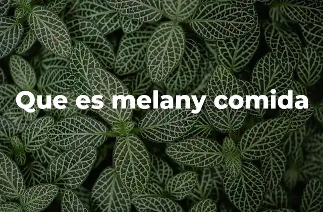 Que es Melany Comida