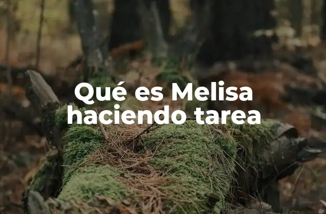Qué es Melisa Haciendo Tarea