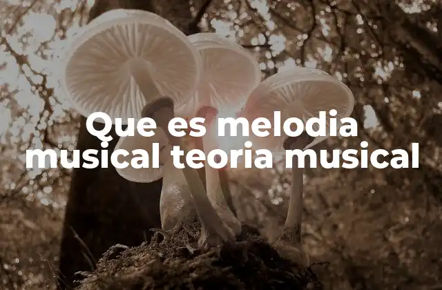 Que es Melodia Musical Teoria Musical