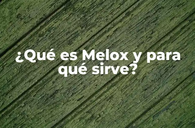 ¿qué es Melox y para Qué Sirve?