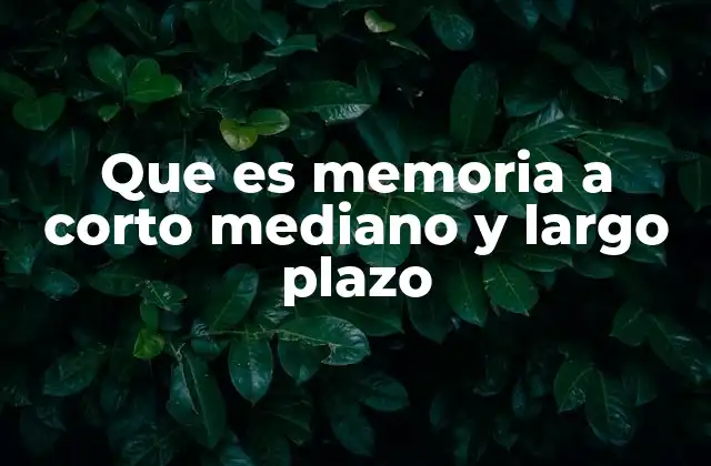 Que es Memoria a Corto Mediano y Largo Plazo