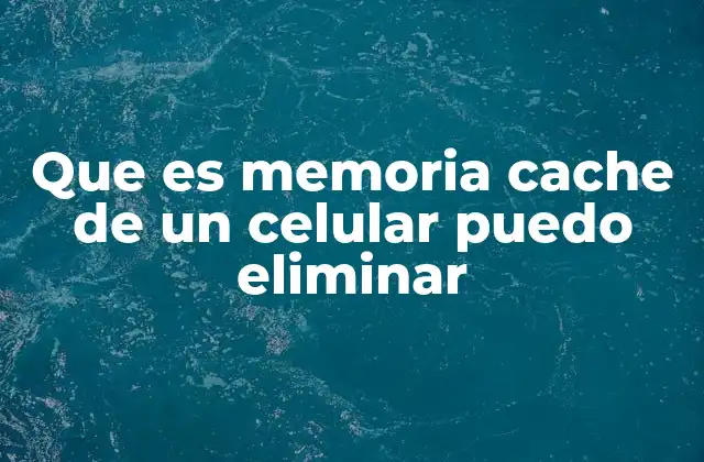 Que es Memoria Cache de un Celular Puedo Eliminar