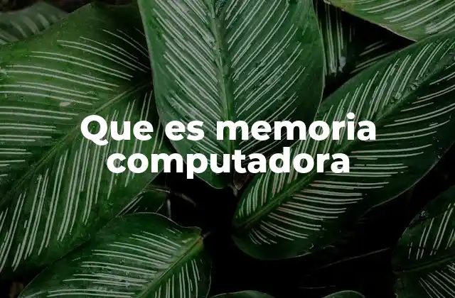 Que es Memoria Computadora