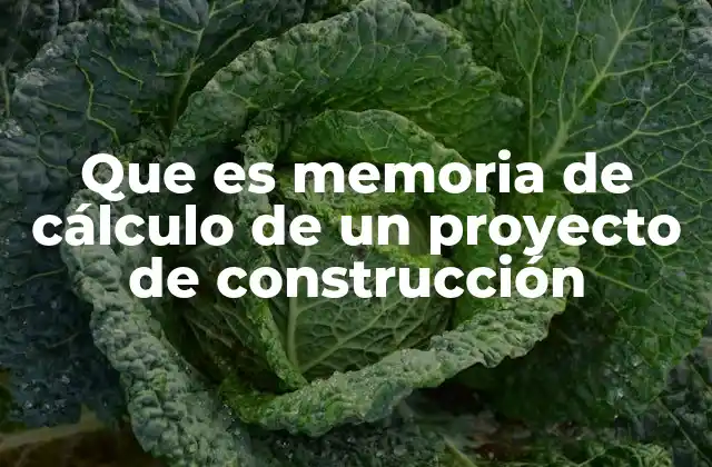 Que es Memoria de Cálculo de un Proyecto de Construcción