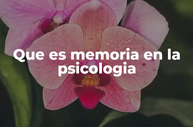 Que es Memoria en la Psicologia