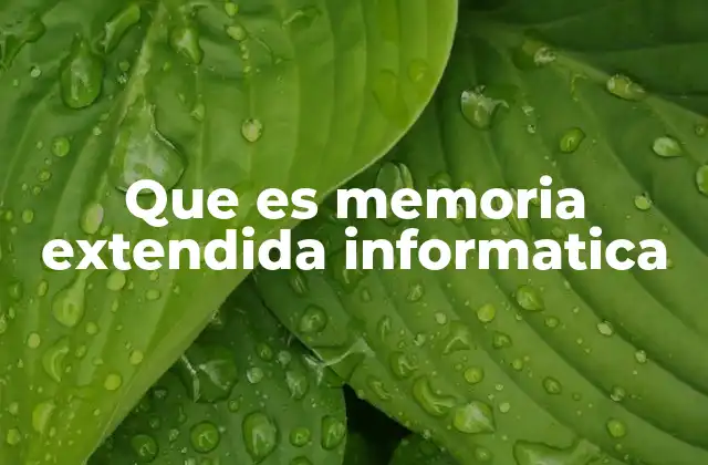 Que es Memoria Extendida Informatica