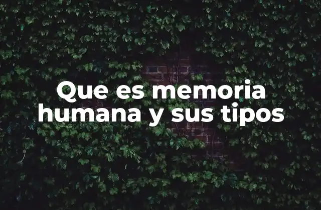 Que es Memoria Humana y Sus Tipos