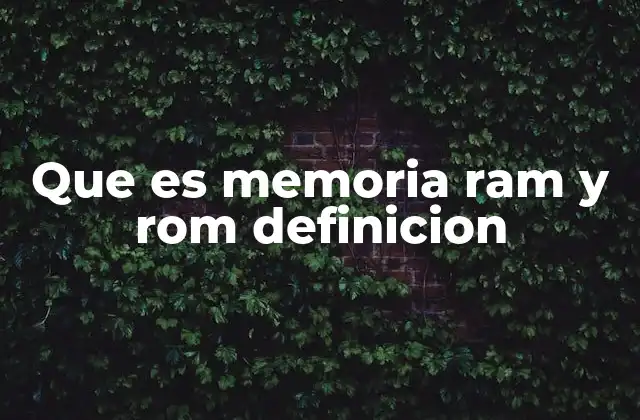 Que es Memoria Ram y Rom Definicion