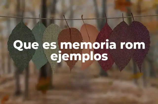 Que es Memoria Rom Ejemplos