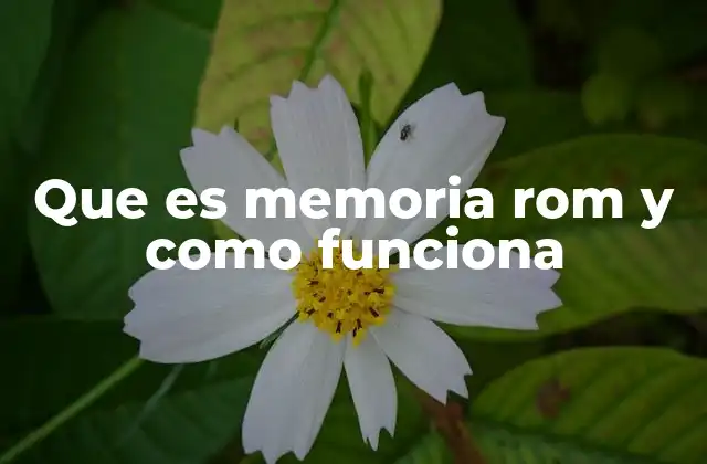 Que es Memoria Rom y como Funciona