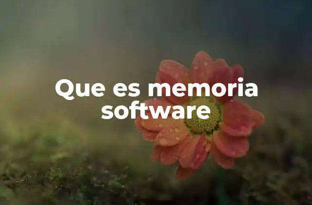 Que es Memoria Software
