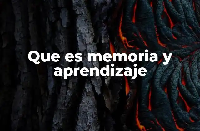 Que es Memoria y Aprendizaje