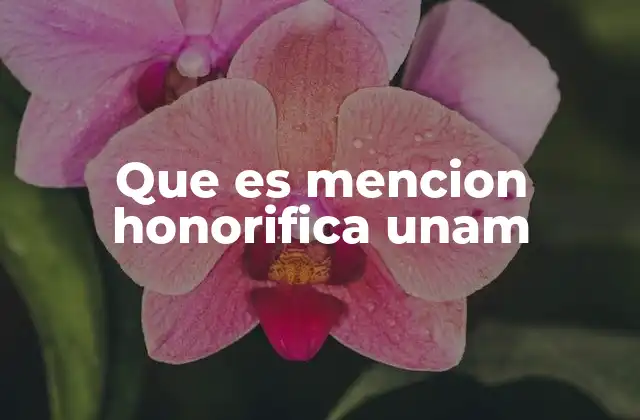 Que es Mencion Honorifica Unam
