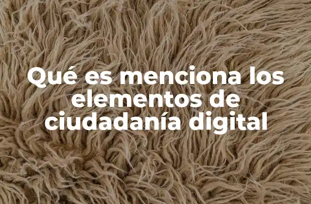 Qué es Menciona los Elementos de Ciudadanía Digital