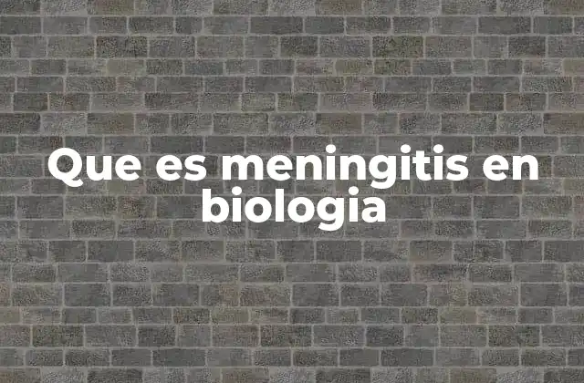 Que es Meningitis en Biologia
