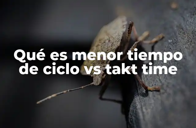 Qué es Menor Tiempo de Ciclo Vs Takt Time