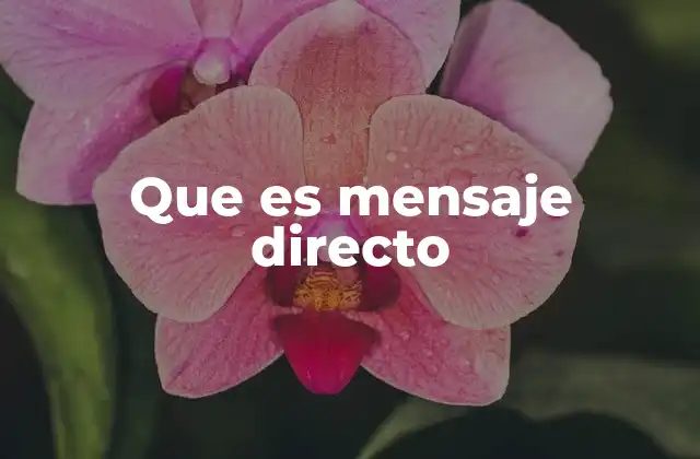 Que es Mensaje Directo