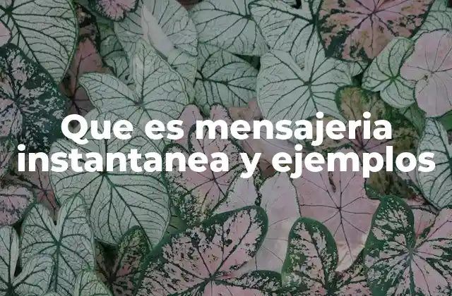 Que es Mensajeria Instantanea y Ejemplos