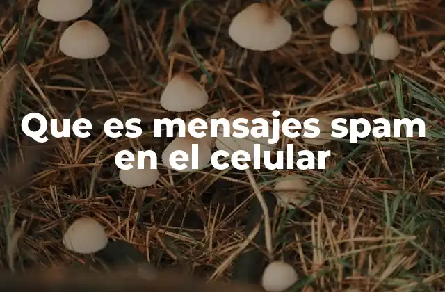 Que es Mensajes Spam en el Celular