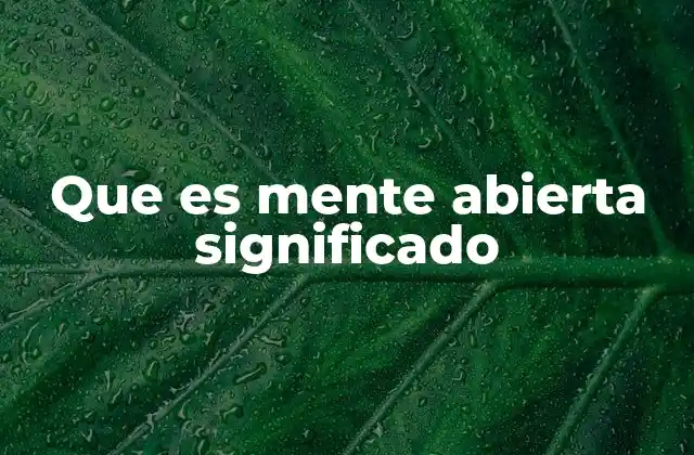 Que es Mente Abierta Significado