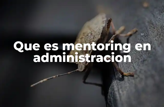 Que es Mentoring en Administracion