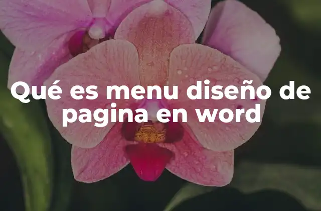 Qué es Menu Diseño de Pagina en Word