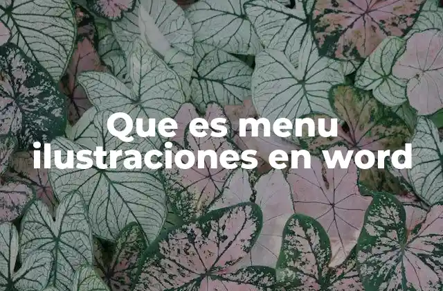 Que es Menu Ilustraciones en Word