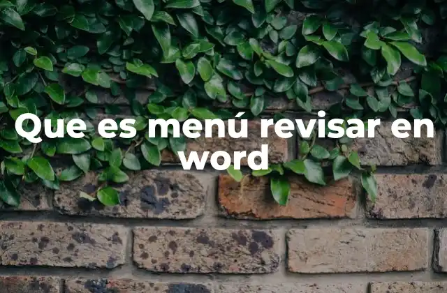 Que es Menú Revisar en Word