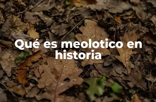 Qué es Meolotico en Historia