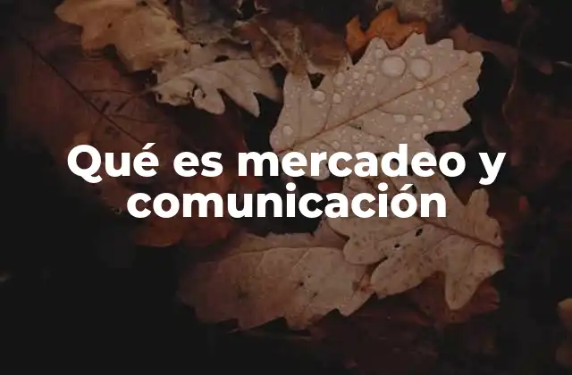Qué es Mercadeo y Comunicación 2 La importancia de la estrategia integrada