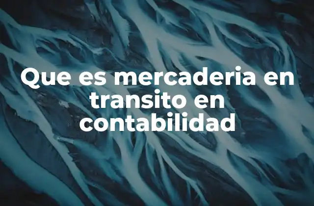 Que es Mercaderia en Transito en Contabilidad