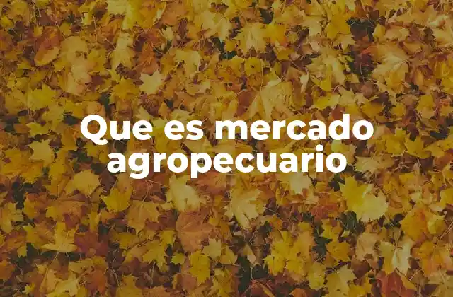 Que es Mercado Agropecuario
