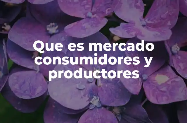 Que es Mercado Consumidores y Productores