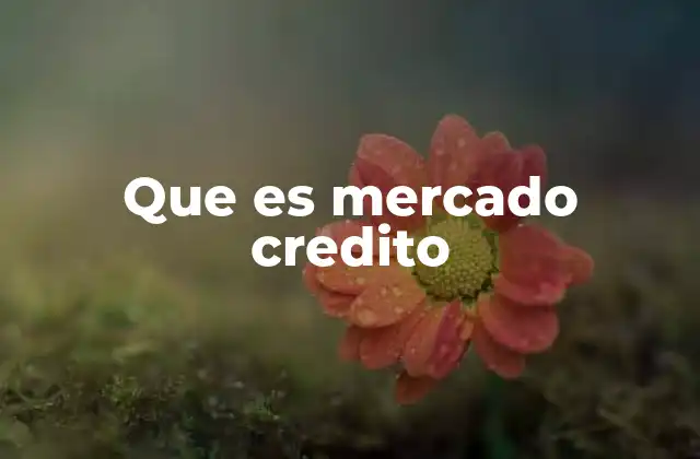 Que es Mercado Credito