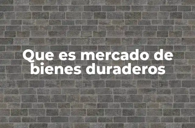 Que es Mercado de Bienes Duraderos